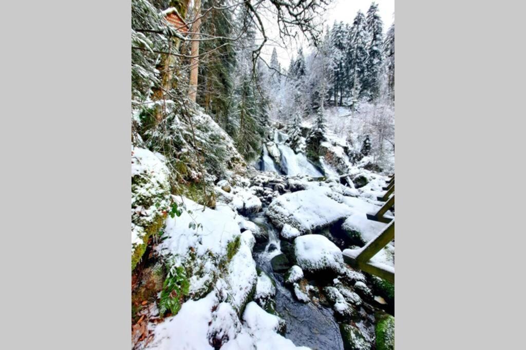 Gemuetliche Ferienwohnung Fuer 4 Gaeste In Schoenwald โชนวัลด์ ภายนอก รูปภาพ